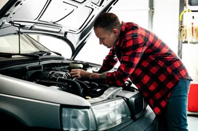 Illustration dike - Image 1