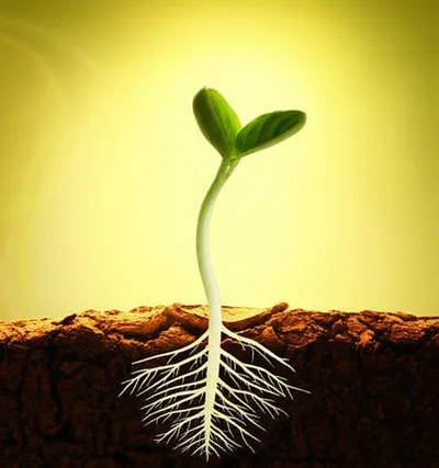 Illustration augments - Image 1