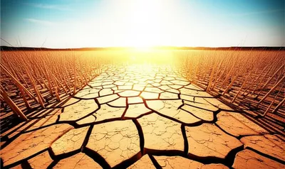 Illustration parched - Image 1