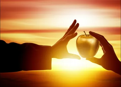 Illustration nays - Image 1