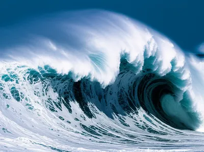 Illustration roaring - Image 1