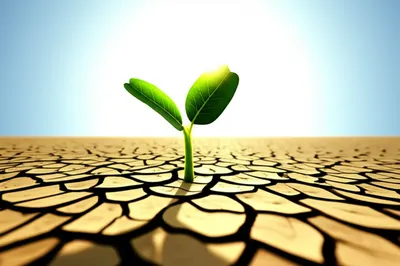 Illustration survived - Image 1