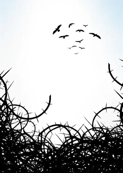 Illustration lib - Image 1