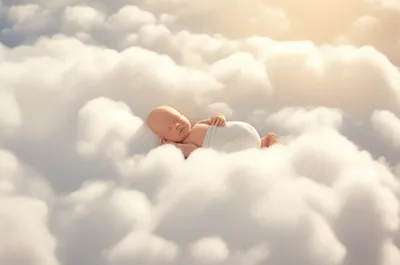 Illustration softest - Image 1