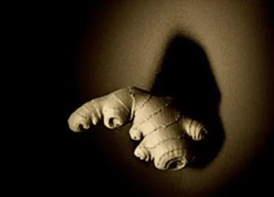 Illustration figging - Image 1