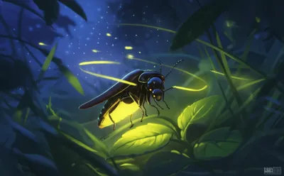 Illustration luminosity