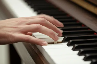 Illustration tucks - Image 1