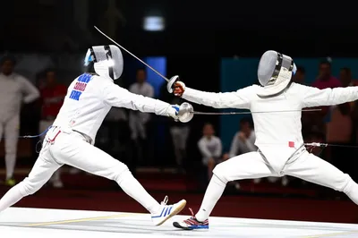Illustration fencing - Image 1