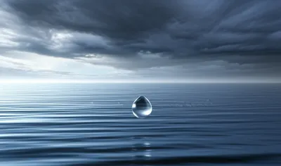 Hình ảnh minh họa much