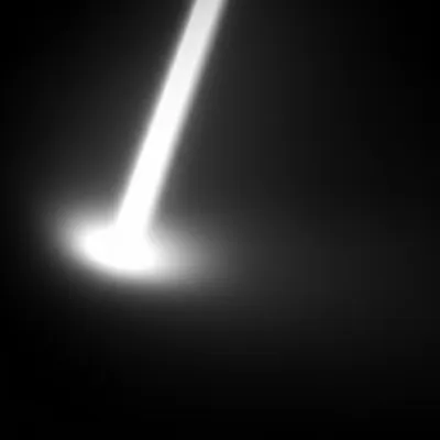 Illustration radiate - Image 1