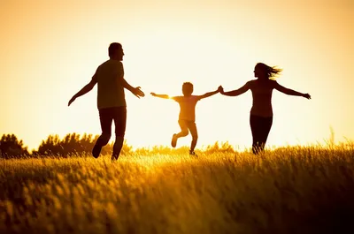 Illustration reunited - Image 1