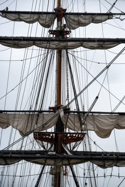 Illustration hounds - Image 1