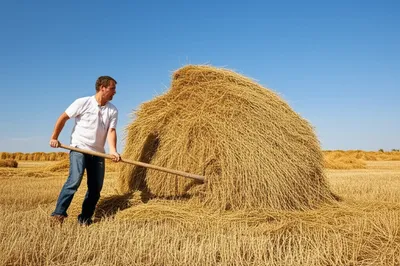 Illustration ricked - Image 1