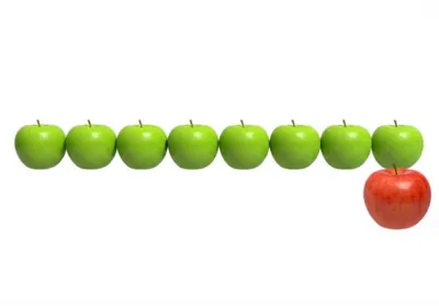 Illustration eighths - Image 1