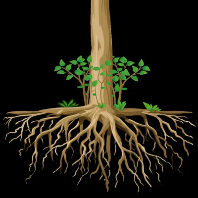 Hình ảnh minh họa stool - Ảnh 1