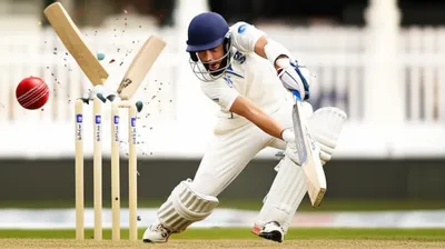 Illustration yorks - Image 1