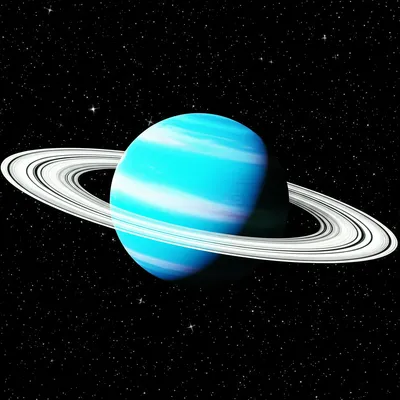 Illustration circled - Image 1