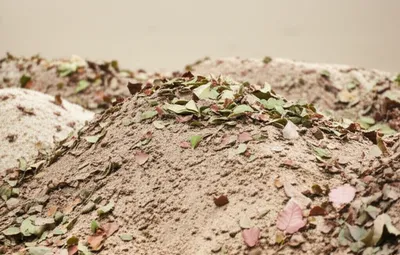 Illustration drift - Image 1