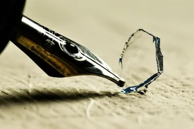 Illustration bark - Image 1