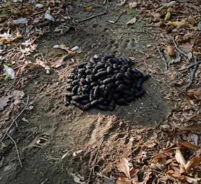 Illustration wardrobe - Image 1