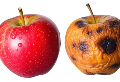 Illustration deteriorated - Image 1