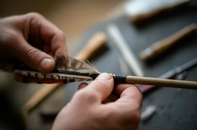 Illustration feathering - Image 1