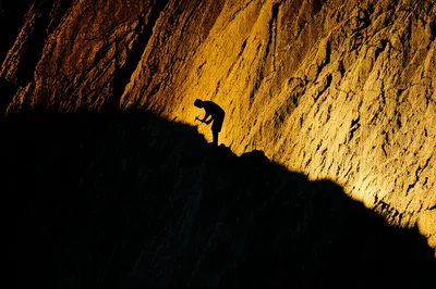 Illustration assiduity