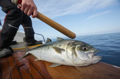 Illustration priests - Image 1