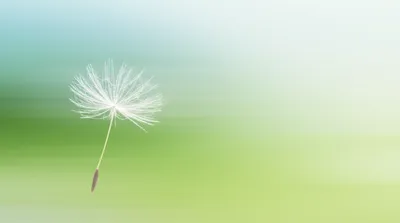 Illustration ease - Image 1