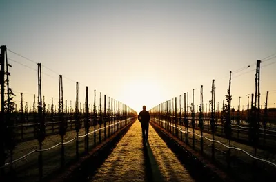 Illustration disciplinarian - Image 1