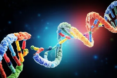 Illustration transcriptions - Image 1