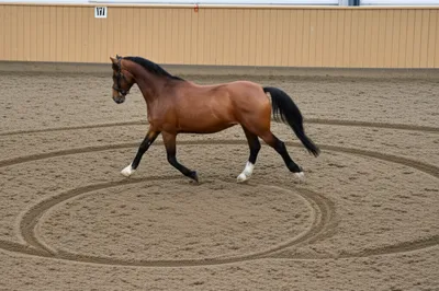 Illustration volt - Image 1