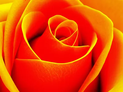 Illustration vividly - Image 1