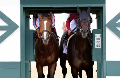 Illustration length - Image 1