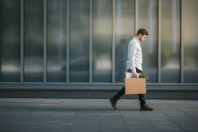 Illustration firings - Image 1