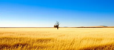 Illustration plains - Image 1