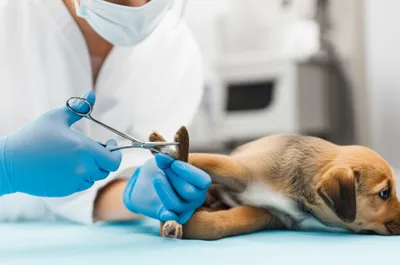 Illustration docks - Image 1