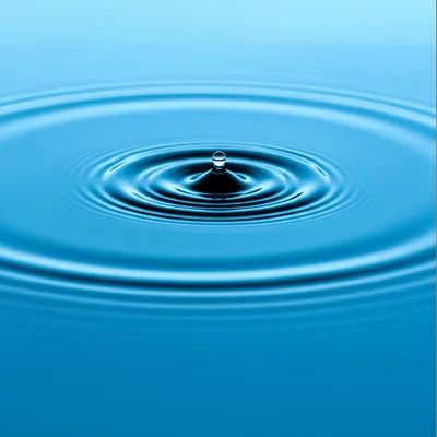 Illustration bother - Image 1