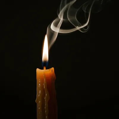 Illustration fade - Image 1