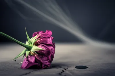 Illustration junk - Image 1