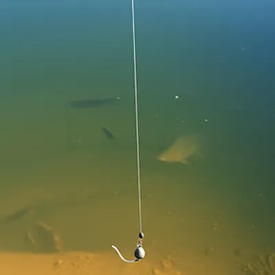 Illustration ledger lines - Image 1