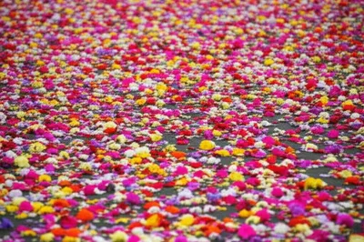 Illustration strewn - Image 1