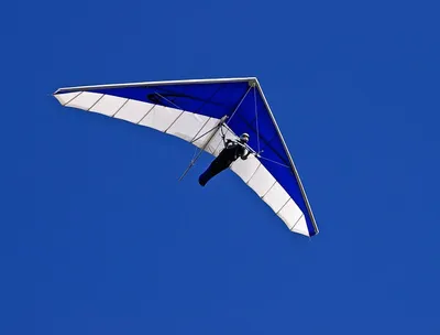 Illustration gliding - Image 2