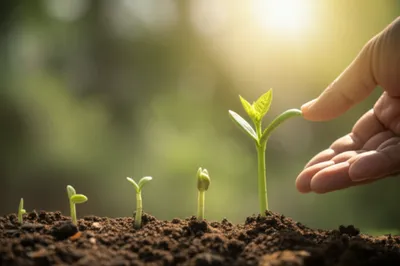 Illustration operating - Image 1