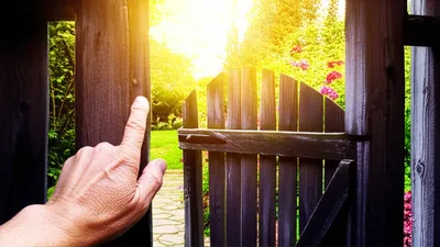 Illustration permits - Image 1