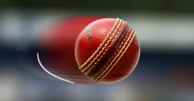 Illustration cuts - Image 1