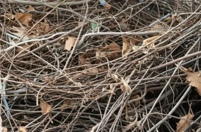 Illustration mats - Image 1