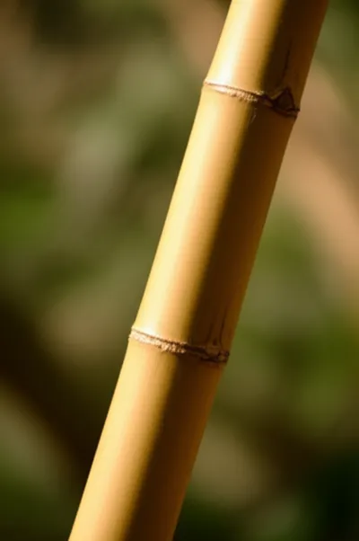 Illustration joints - Image 1