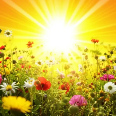 Illustration emanating - Image 1