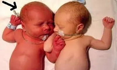 Illustration plethora - Image 2